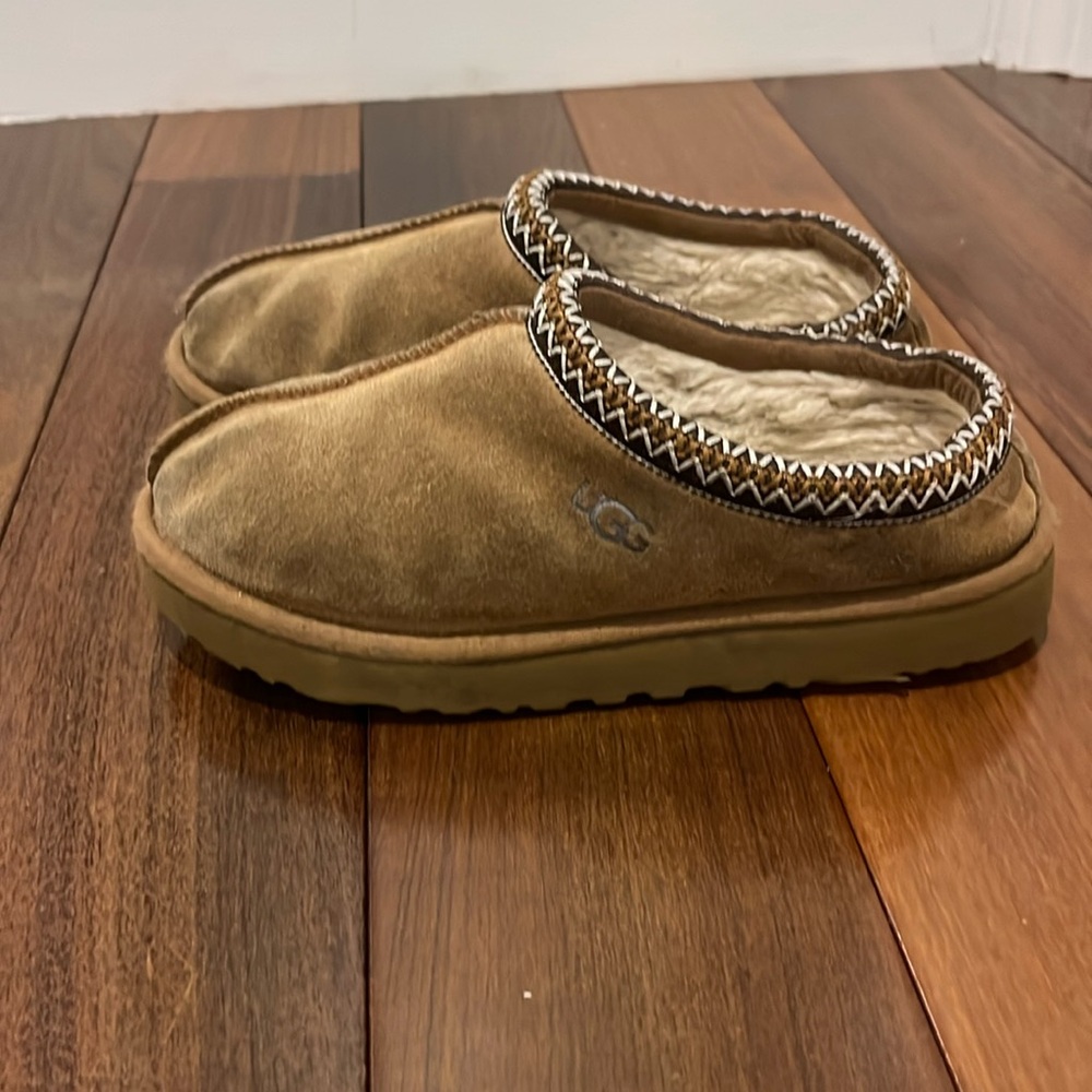 tasman uggs
